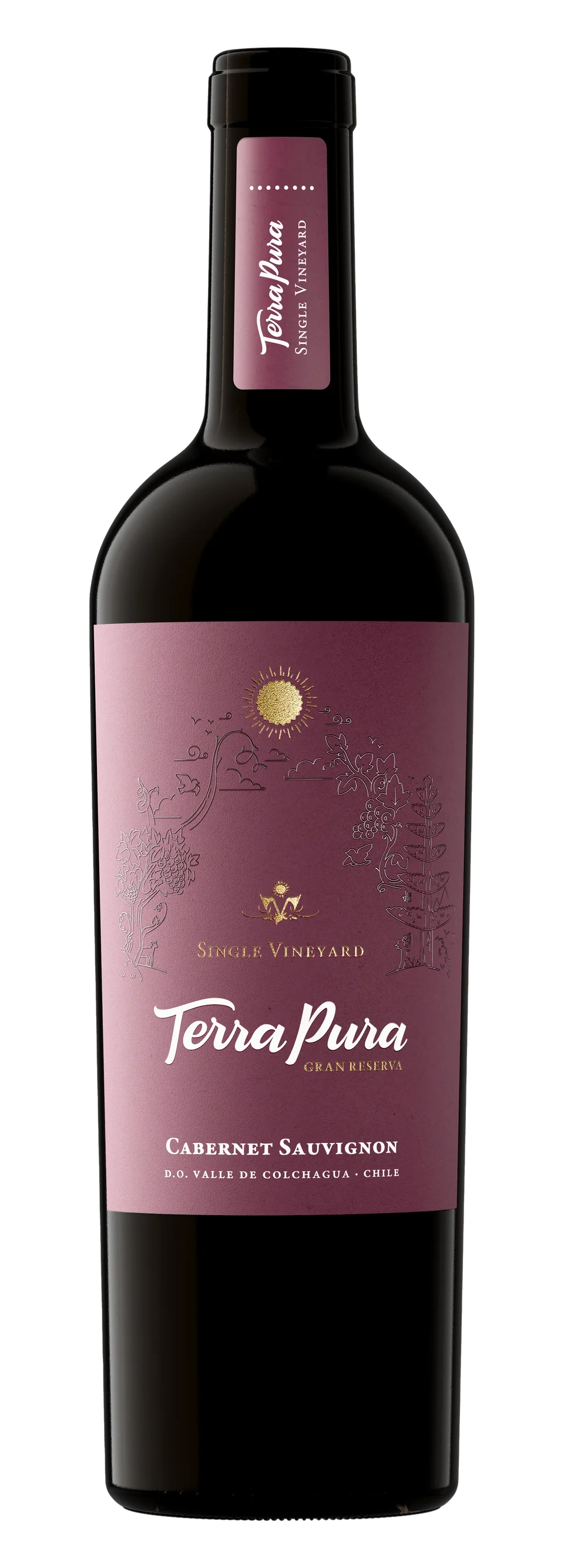 Botella de TerraPura Single Vineyard Cabernet Sauvignon